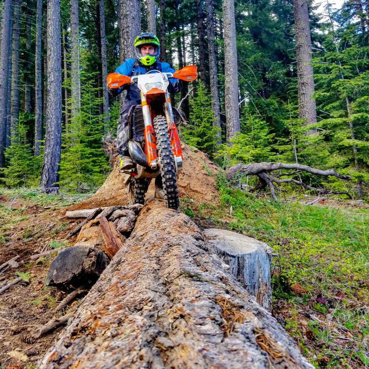 ridetrailtech's tweet photo. Loggin' it. #trailtech #ridetrailtech #letsride #logs #ktm https://t.co/D7hH2HDJ0P
