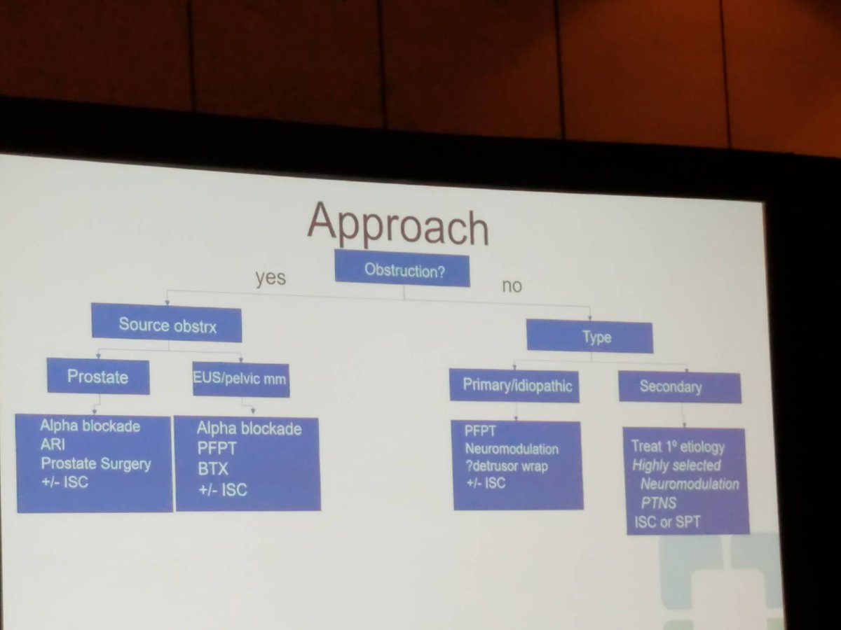 sufuorg's tweet photo. @doc_h_wood discusses her approach to #underactivebladder
Identify the type of obstruction and source of obstruction https://t.co/BRaWKCeD4g