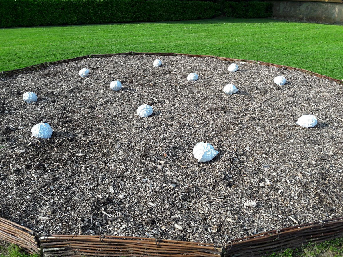 MattDinguidard's tweet photo. Nouvelle installation à découvrir à #flaran #Gers ... #artcontemporain #patrimoine #Occitanie https://t.co/SFJrPRZENn