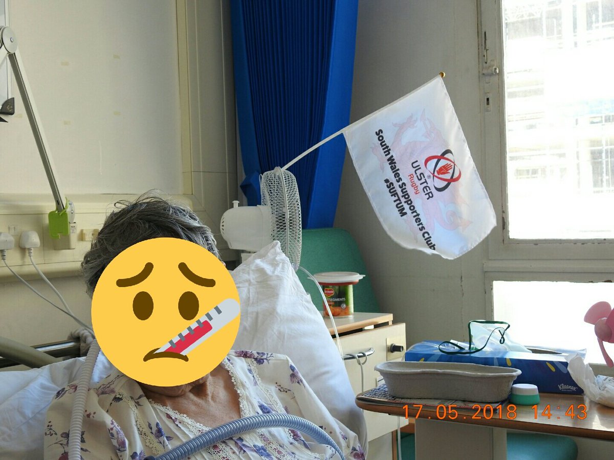 SouthWalesURSC's tweet photo. One of our members, trying to get match fit for Sunday's decider #ULSvOSP at #UlsterHospital @setrust big shout to #EAcrew Ian &amp; Roger #PHcare then A&amp;E, on to 15a &amp; now 9 ... from the meeter &amp; greeter to Dr Courtney thank you, from all of us #SUFTUM @UlsterRugby #MaggieMalone https://t.co/LrmrSBGXmR