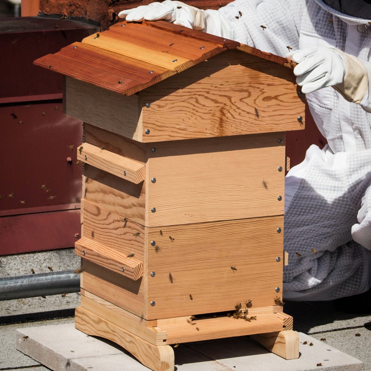 beebuiltsupply's tweet photo. "My experience with this hive is great. Easy to assemble, directions were easy to follow. Very fast delivery. Staff at bee built answered all my questions. Will definitely be ordering my beekeeping supplies from bee built in the future." -Gabe L. #beebuilt #beesfirst #savethebees https://t.co/sRBzXwxiwT