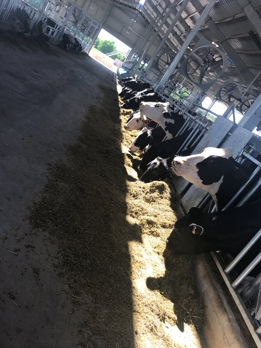 Haley_Nabors's tweet photo. Last stop on the 2018 #accesstour is a tour of the #okstate Ferguson Family Dairy Facility #GotMilk? https://t.co/CQntDLoiA1