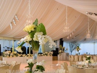 RT <a href="/StHelenaCA/">St. Helena, CA</a>: Now's the time to start exploring and planning wedding options in #StHelena. We've rounded up unique local venues, catering companies, photographers, and more, making your #winecountry #wedding planning that much easier! ow.ly/WjEf30jTY5i #MyStHelena