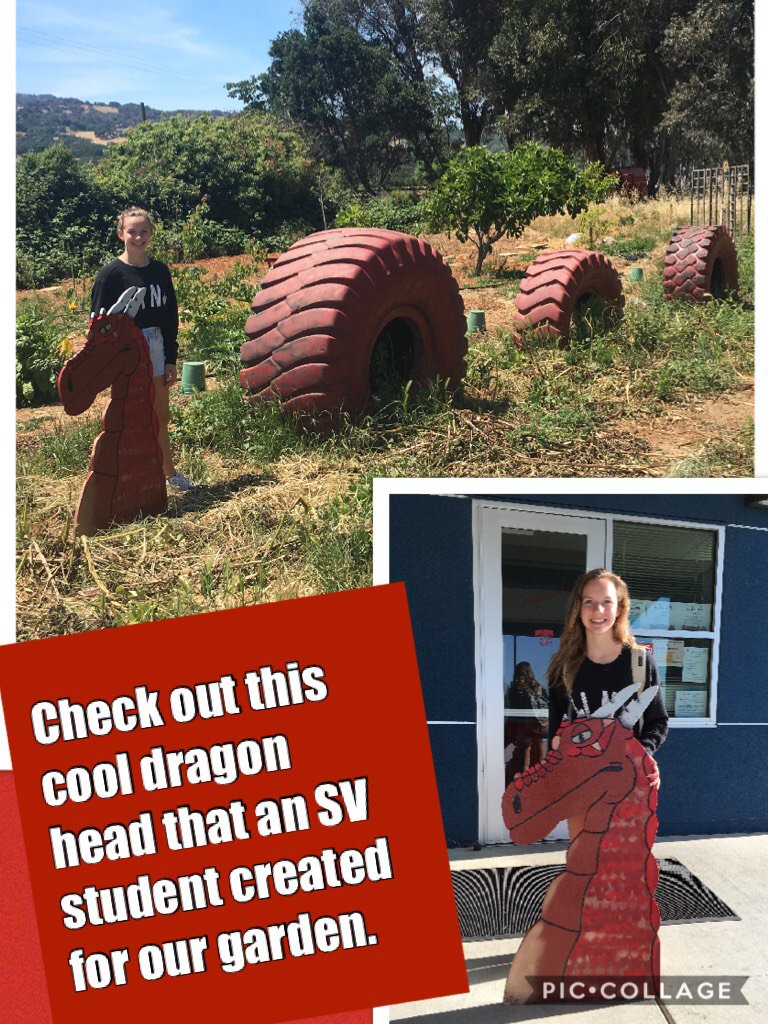 SuisunValleyEl's tweet photo. Check out this cool dragon head that an SV student created for our garden.  #piccol https://t.co/NiOLJiDWF1 https://t.co/jgKE5boLON