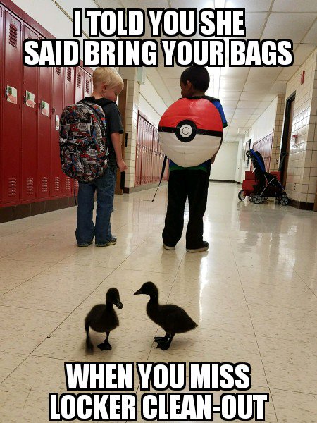 SMAnderson4's tweet image. From our Jr High today, I heard this end of year conversation from 2 of our smaller students. #lockerprobs #WeAreMomence