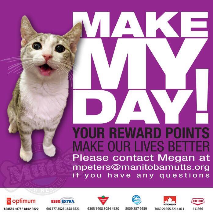 ManitobaMutts's tweet photo. Help Manitoba Mutts while you shop.

Even if you don’t personally have a rewards card, you can give the corresponding number to the place you’re shopping at, and help us to gain points to further help more animals!!

If you’re interested in a physical copy, email Megan below https://t.co/WKgKWuyqMV