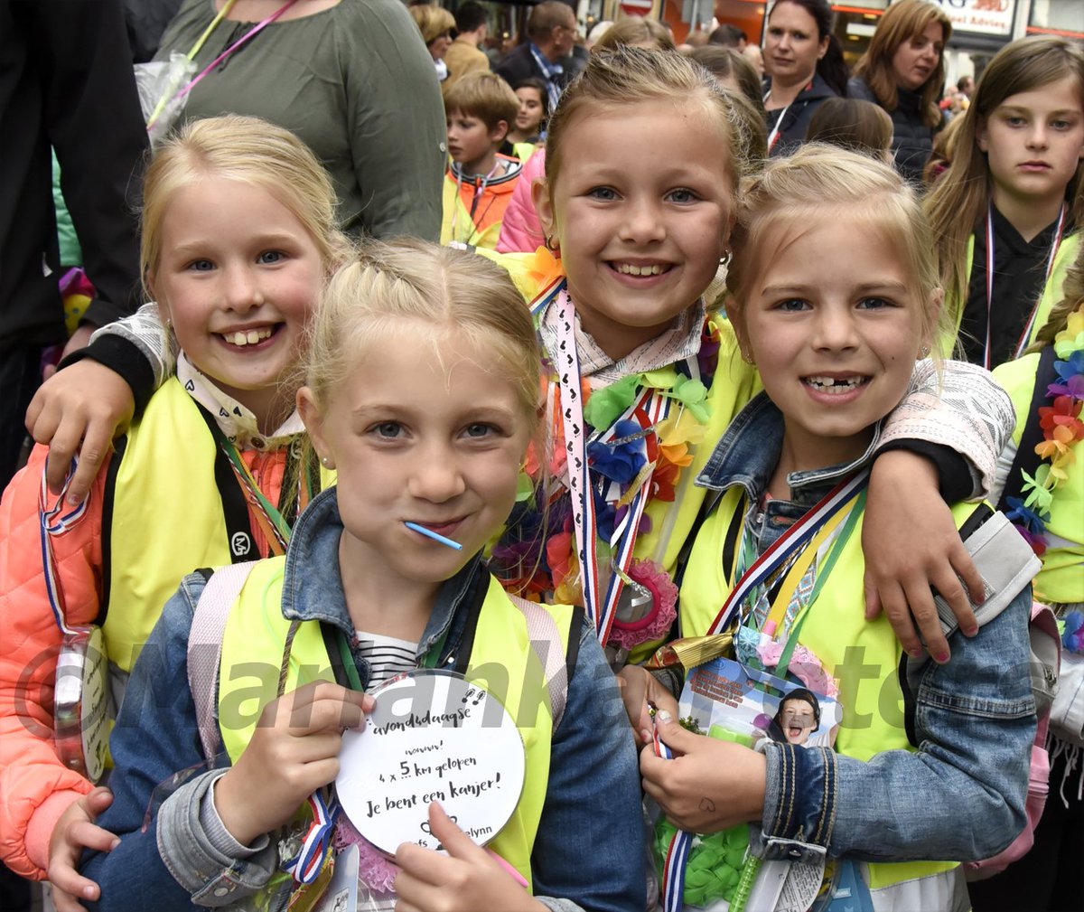 Mariankagouda's tweet photo. Ze zijn weer binnen! #javd @Gouda https://t.co/rMjzVYNoJ6