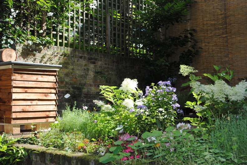 NewAcropolisLDN's tweet photo. World Bee Day Celebration - 20 May
Come and join us between 1 pm and 4 pm for:
- Bee watching in our Melissa Bee Sanctuary - we have two hives
- Learning about bees and beekeeping
- Honey tasting
https://t.co/4UUE51ud2f
#WorldBeeDay https://t.co/MN3OV8yV5B