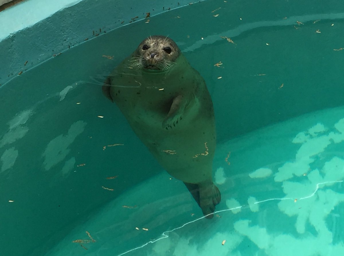 Third Grade tweet media