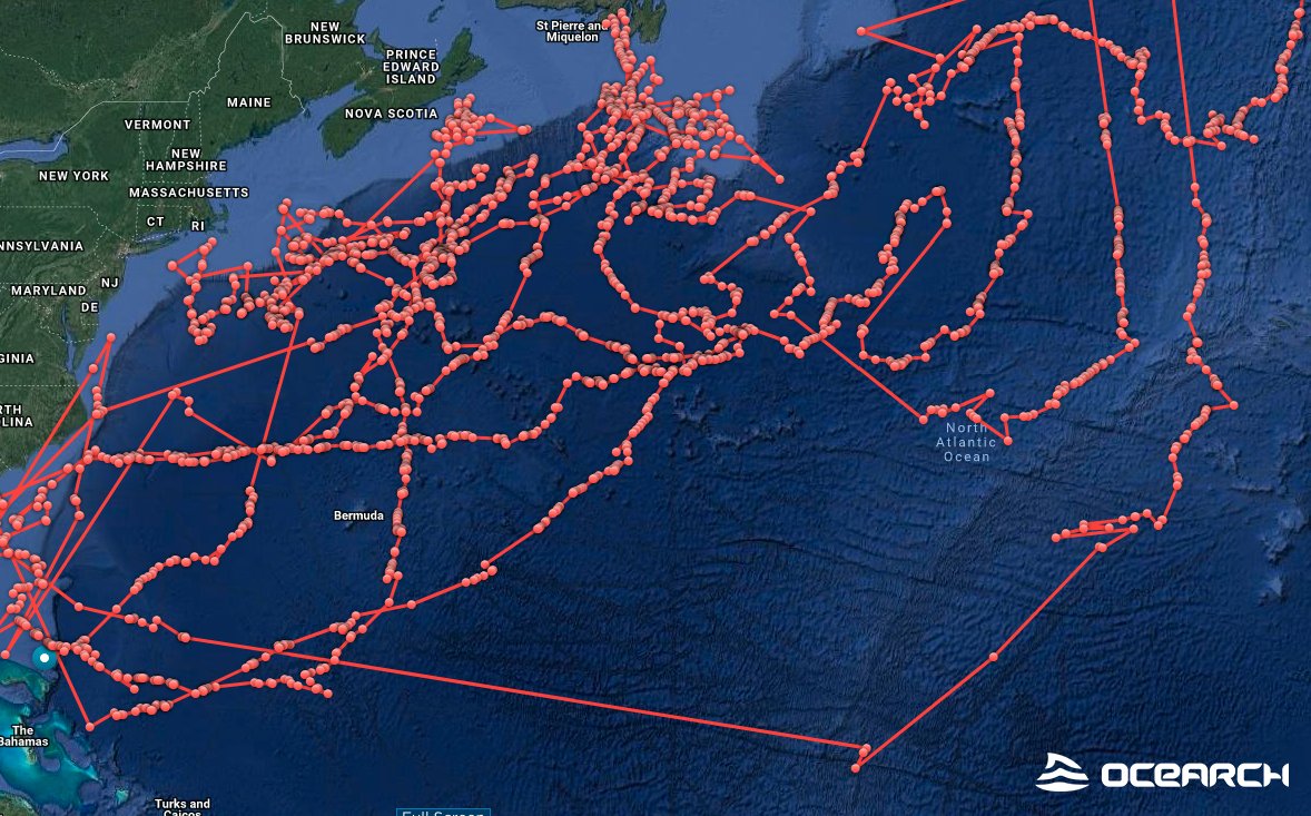 #SharkScienceFriday Scientists use our open source data from <a href="/MaryLeeShark/">Mary Lee the shark</a> &amp; <a href="/RockStarLydia/">Lydia Shark</a> to solve how the apex predators survive in biological deserts of the open ocean go.nature.com/2KlDxcg