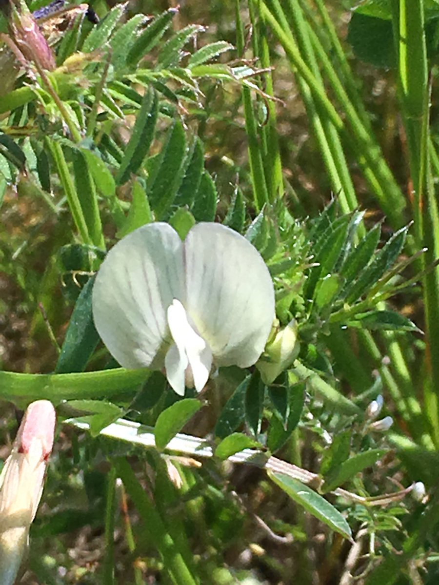 Danny Chesterman tweet media