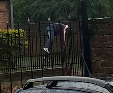 Посмотреть изображение в Твиттере