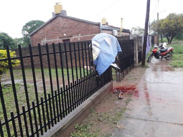 Посмотреть изображение в Твиттере