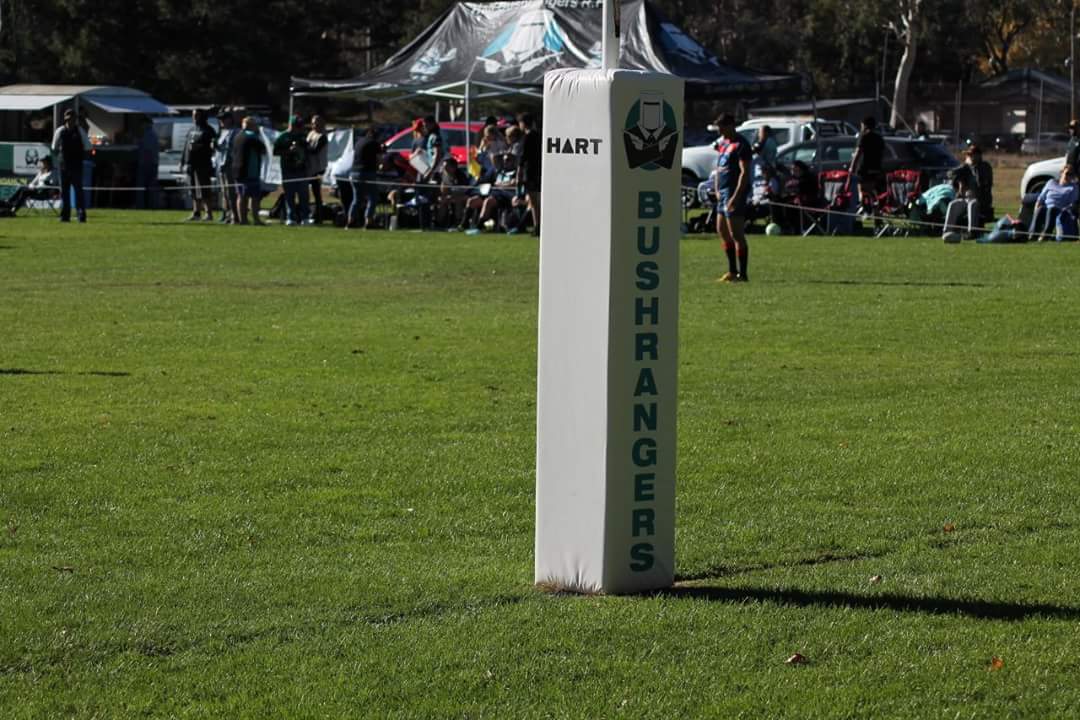 Hall Bushrangers RFC tweet media