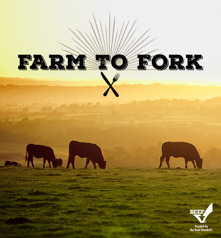 NVBeef's tweet image. 