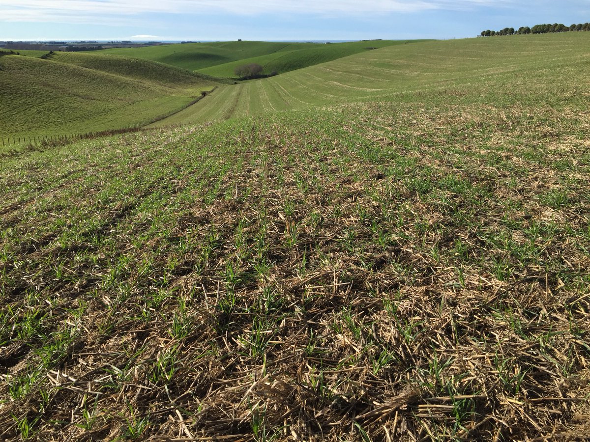 Mike Porter tweet media