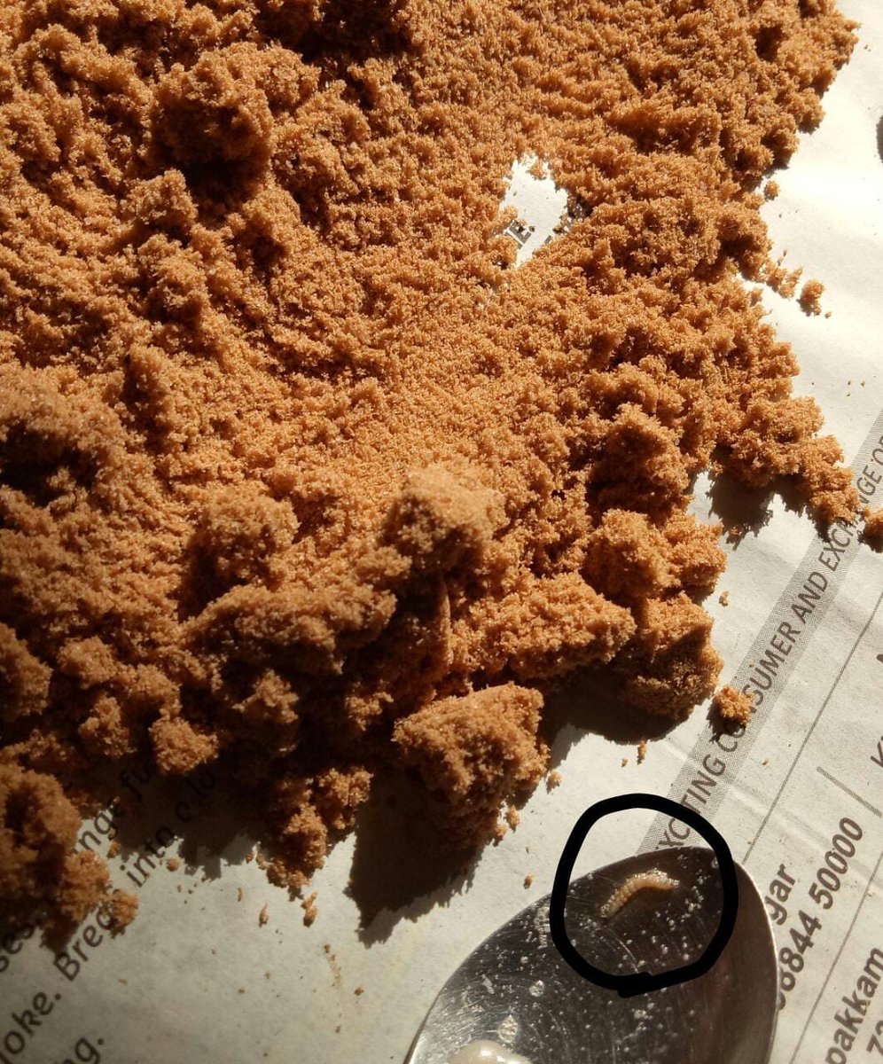 ashkrj's tweet photo. @fssaiindia @fsgindia  Just found lots of worms inside a fresh pack of complan!! #foodsafety @inconsumerforum #FDA #India https://t.co/hq3Ty3bjuQ