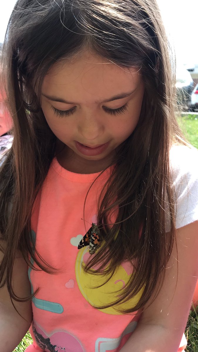 MrsRalstonKdg's tweet photo. Saying goodbye to our 🦋s. We loved watching the metamorphosis and recording our observations and wonders. #bjumpstart #nonfictionwriting #butterflylifecycle #LCS_BC @sherimchenry @lmichaelsbowman https://t.co/VBjk0v1odY