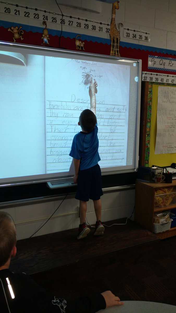 tracimlovett's tweet photo. Love my littles and their end of the year research projects.  #animalbios #frazeeelite #fcscpride #1stgrade #foundations https://t.co/4NRTqA9M1D