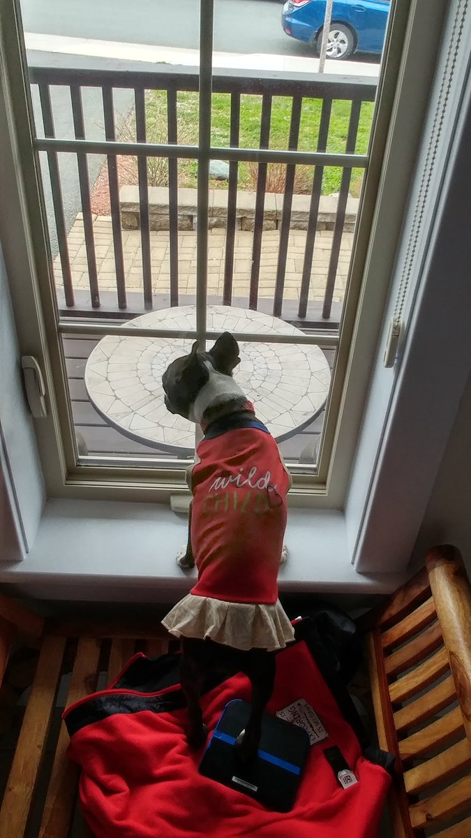 AlexMGardiner's tweet photo. @allanhawco @VOCMOpenline @CBCNL @Fred_Hutton Mary Margaret in a new outfit #wildchild #onthemend https://t.co/KUPdcPXs4L