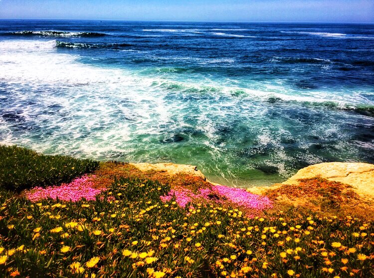 AmyKate8LFC's tweet photo. 4 of 4 Sometime it’s nice to take the long way home enjoying the view along the way. Oceanside to La Jolla. I just can’t get enough of San Diego County coastline. (La Jolla)
#SanDiego #TripSanDiego #SanDiegoCoast #Oceanside #Carlsbad #Encintas #LaJolla https://t.co/M6ZOUl9x4d