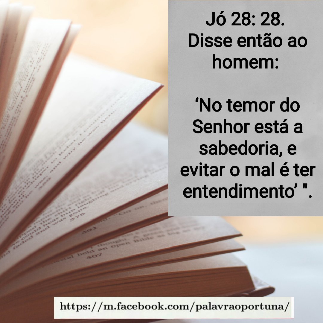 Silvana (@silvana_beta) on Twitter photo 