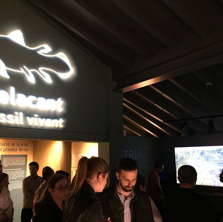 Aiida_Sanchez's tweet image. A la inauguració de la nova museografia del #triàsic al #museuAlcover. Fantàstica!! 🦖🦕🐠