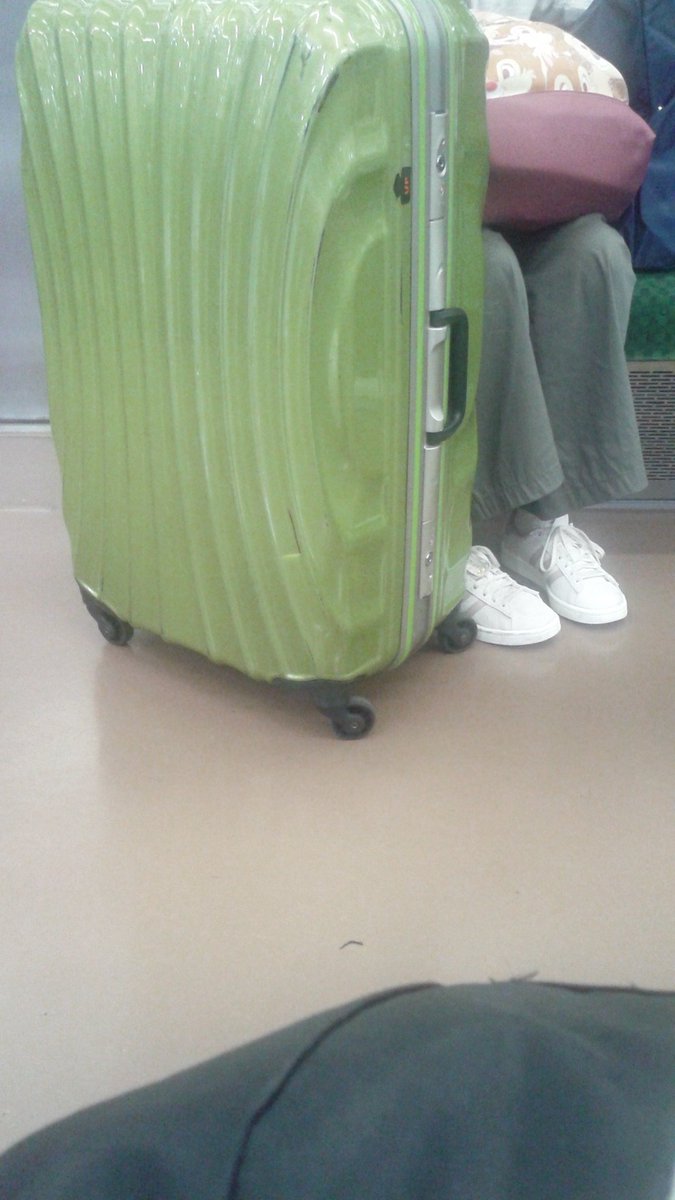 やました 最近の電車での迷惑 乳母車 スーツケース 人の邪魔にならないように気を使えないやつだらけ ちなみにこいつは手荷物も座席に置き 平気な顔 電車 マナー