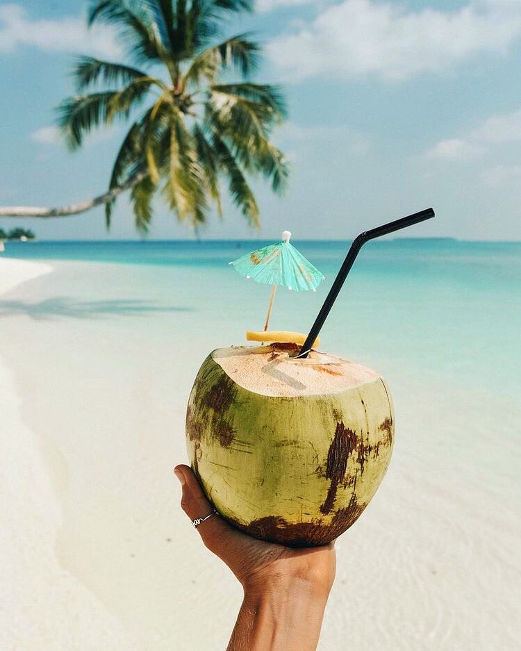 natabernalnb's tweet photo. a crazy coconut for Friday 🍹 https://t.co/p4UIN9qrTG