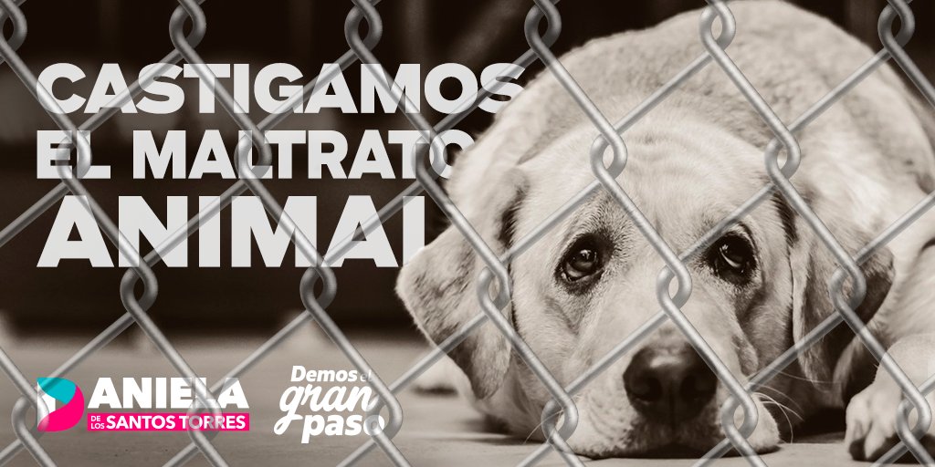 daniDlosantos's tweet photo. Tipificamos como delito el maltrato a los animales. #DemosElGranPaso para que #Morelia sea una ciudad ejemplar en el trato con los animales. https://t.co/NMgzYQ028m