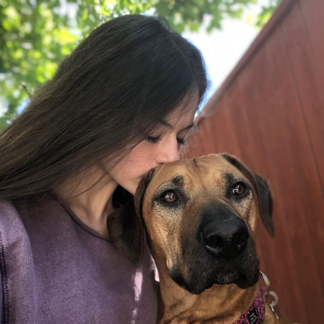 Mackenzie_ChFoy's tweet photo. FireFly💜💜 https://t.co/FmMOuJvoL7