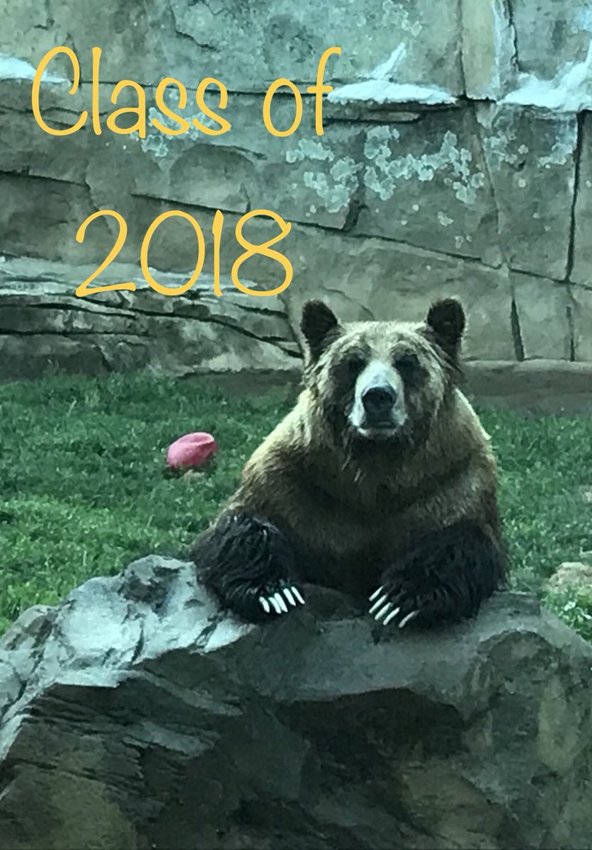 KySciTA's tweet photo. Thank you to @LouisvilleZoo for hosting @KySciTA meeting of board members. We apologize if we get distracted by our surprise visitor! What a pose! #bestmeetingever #betterthanafacultymeeting #GrizzlyFan #MakeItBearable #ScienceRocks https://t.co/S0Md4njHYK