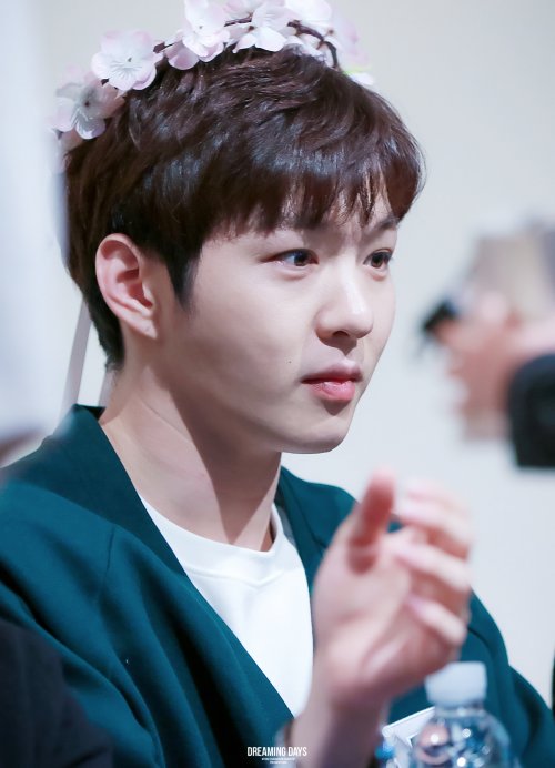 95FATALGRL's tweet photo. desɑfio #unicube ㅡ diɑ cinco : foto com ɑcessório nɑ cɑbeçɑ ; https://t.co/8HurkeC4Bk