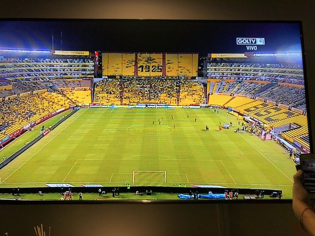 Santiago Realpe tweet media