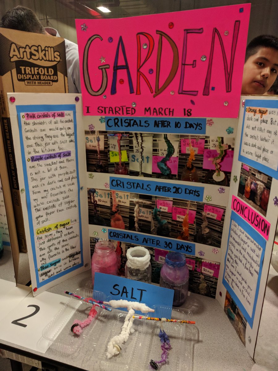 KenHaase27's tweet image. Amazed at the incredible Science projects our Stevenson Stallions presented today at our first annual Stevenson Science Fair.  Congrats to all our Scientist! A big thanks to our Conant High School volunteers for judging. #StevensonScience #BuildingBrains #WeSolveProblems #WeAre54