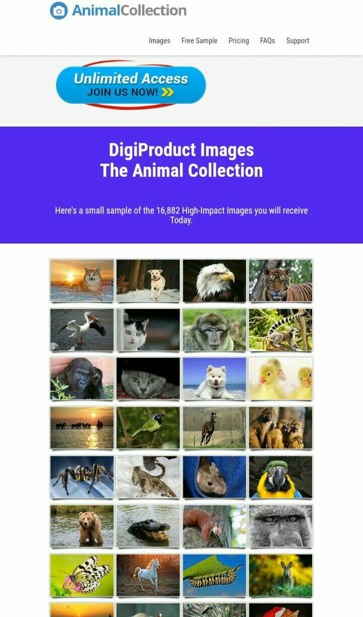 BESTHITZ2's tweet image. Digiproduct images, the animal collection 
jvz7.com/c/1026523/2810…