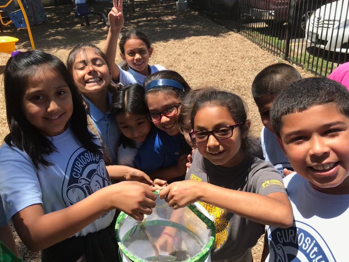 ag_giovannini's tweet photo. Another butterfly, another day #futureentomologists #blackswallowtailsareawesome #kacdjoy https://t.co/dhwsyPo95B