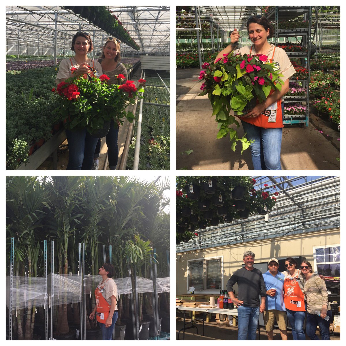 Awesome day with Ro our amazing RVP in NJM for touring Ivy Acres Greenhouses and bringing them lunch to recognize and thank their Team for all their hard work. Gorgeous  hanging baskets and Palms!!!  🌺🌸🌼🌸🌺<a href="/nyyroro/">Ro Rodriguez</a> <a href="/D_Liberato1/">Debbie Liberato</a> @TimDaley27 <a href="/kfilan34/">Kieran Filan</a> <a href="/wilkie_cindy/">Cindy Wilkie</a>