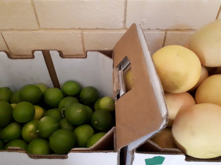 nikmacd's tweet image. Free limes and pink grapefruit. Any takers?