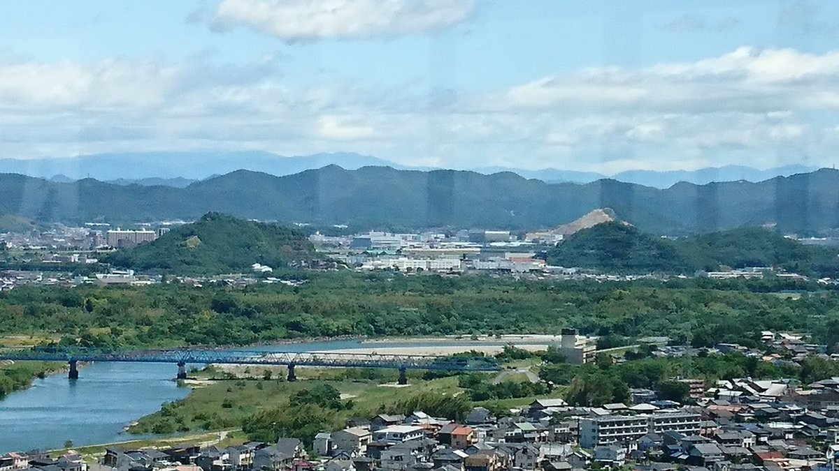 変態飛翔生体