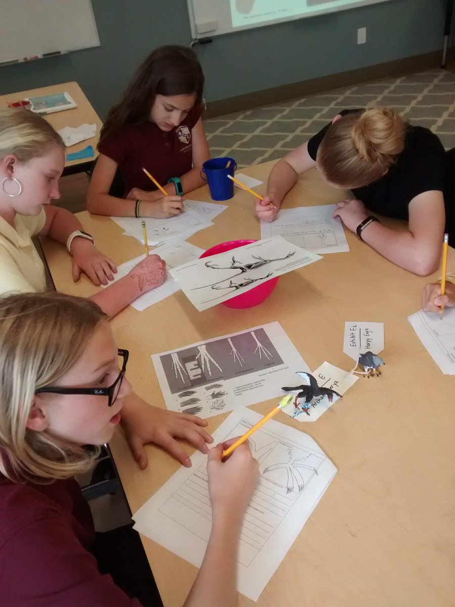 Mrs. Ehrenclou tweet media