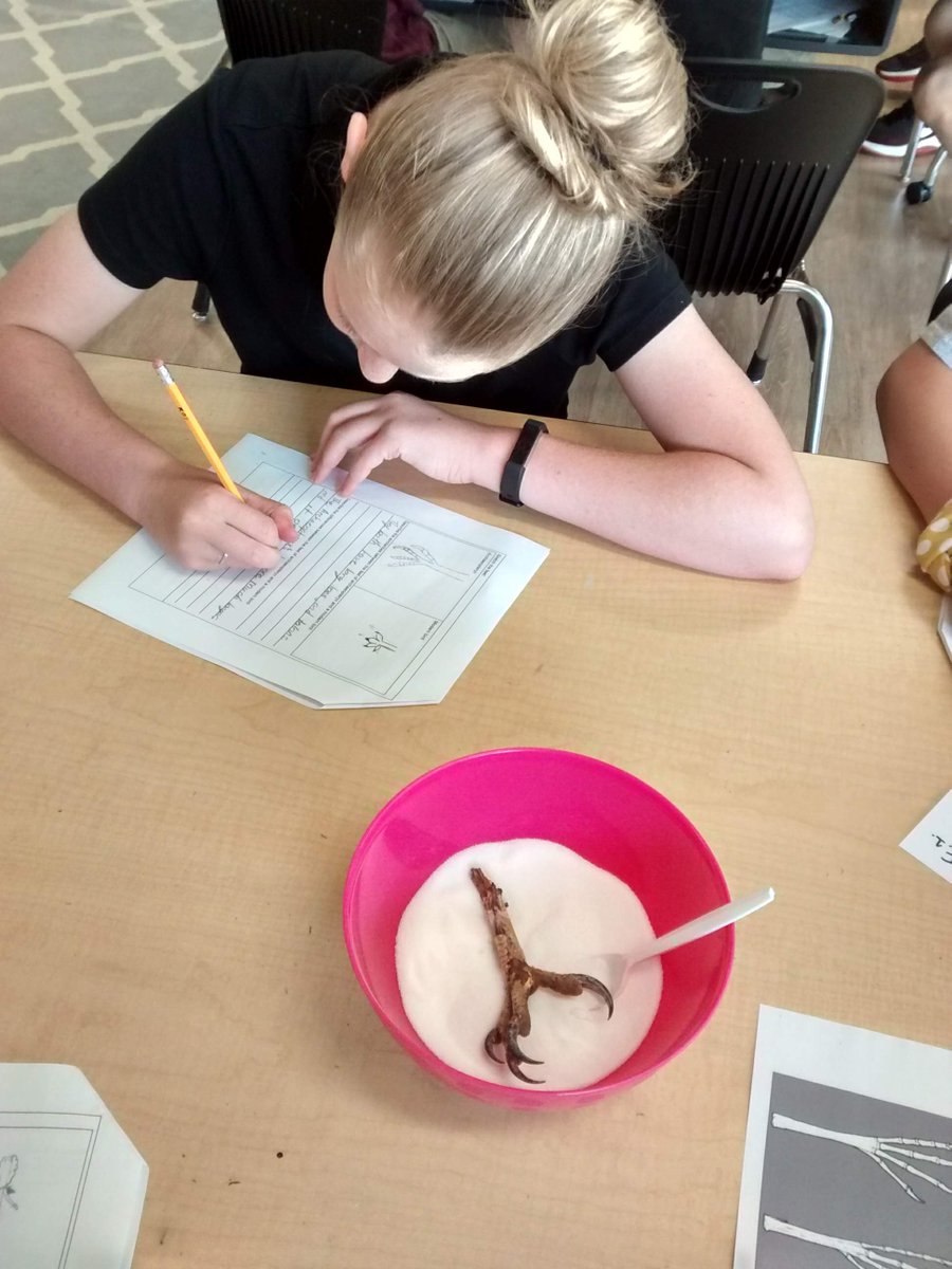 Mrs. Ehrenclou tweet media