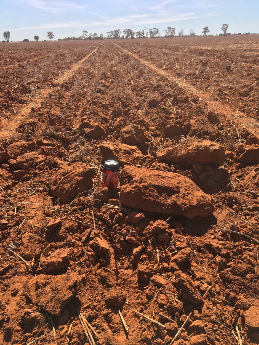 Living_Farm's tweet photo. It's been difficult seeding for farmers &amp; researchers alike. Trying to get a decent seedbed has been a challenge in many areas that we operate, from deep ripped sand plains of the northern wheatbelt to heavier red country in the eastern wheatbelt. Hoping for rain later next week. https://t.co/l7JjGCKkIP