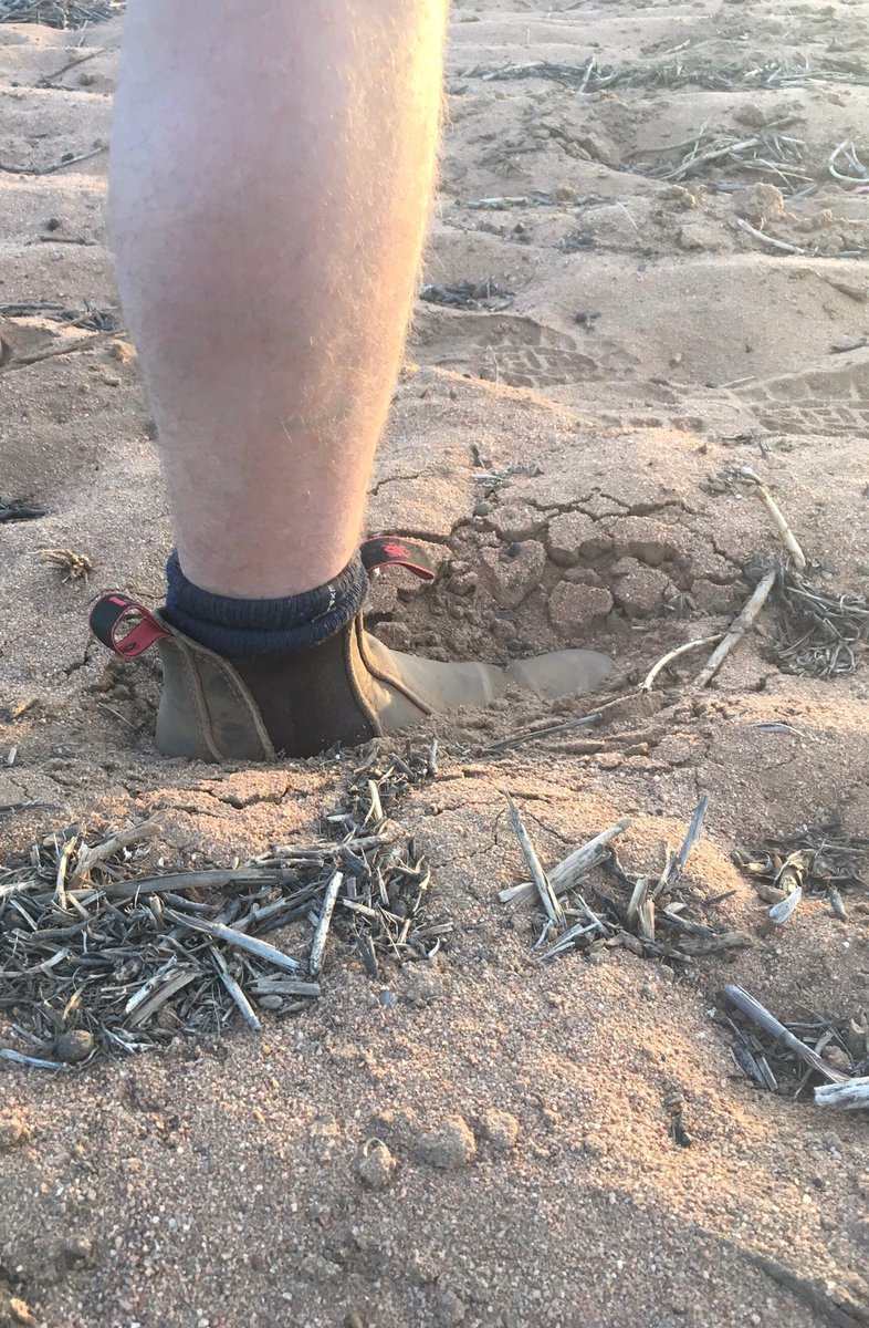 Living_Farm's tweet photo. It's been difficult seeding for farmers &amp; researchers alike. Trying to get a decent seedbed has been a challenge in many areas that we operate, from deep ripped sand plains of the northern wheatbelt to heavier red country in the eastern wheatbelt. Hoping for rain later next week. https://t.co/l7JjGCKkIP