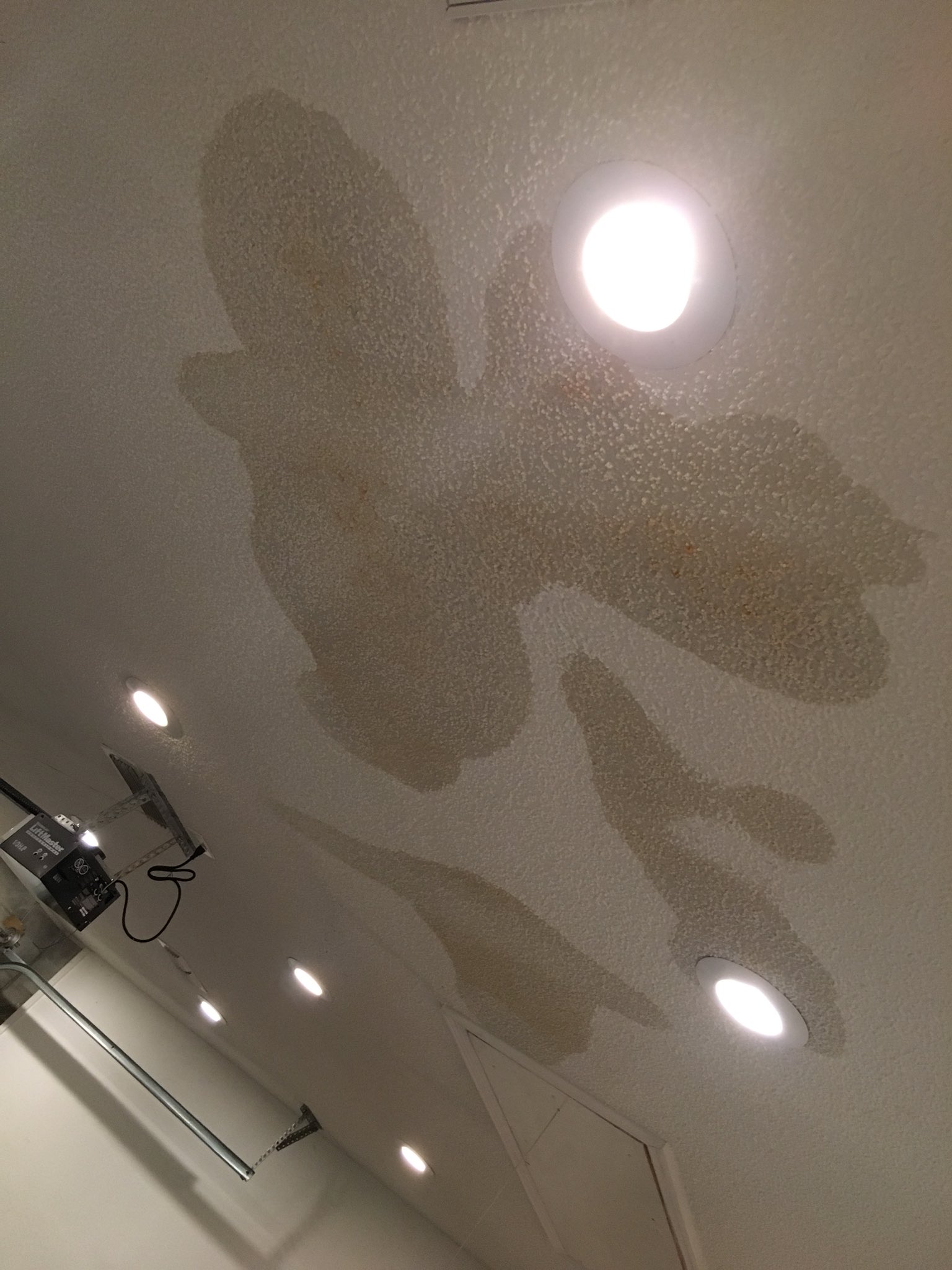 Jewel  Megan 💕 0F on X: This is the ceiling 😔 t.coR4pUkvsx5E   X