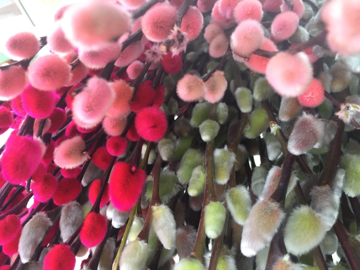 Can’t wait to see that dress!  
#WeddingDay #HarryAndMeghan #RoyalWeddingDay #Congratulations #RoyalWedding