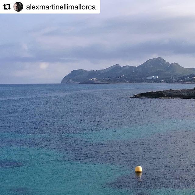 stefanomunari's tweet photo. #Repost @alexmartinellimallorca 
Próximamente los domingos... #cafedelmar #mallorca #radio #live #fm #dj #deephouse #chillout #lounge #house #staytuned #topdancefm @topdancefm#Repost @alexmartinellimallorca 
Próximamente los domingos... #cafedelmar #mallorca #radio #live #fm… https://t.co/YlY08Cm0GD