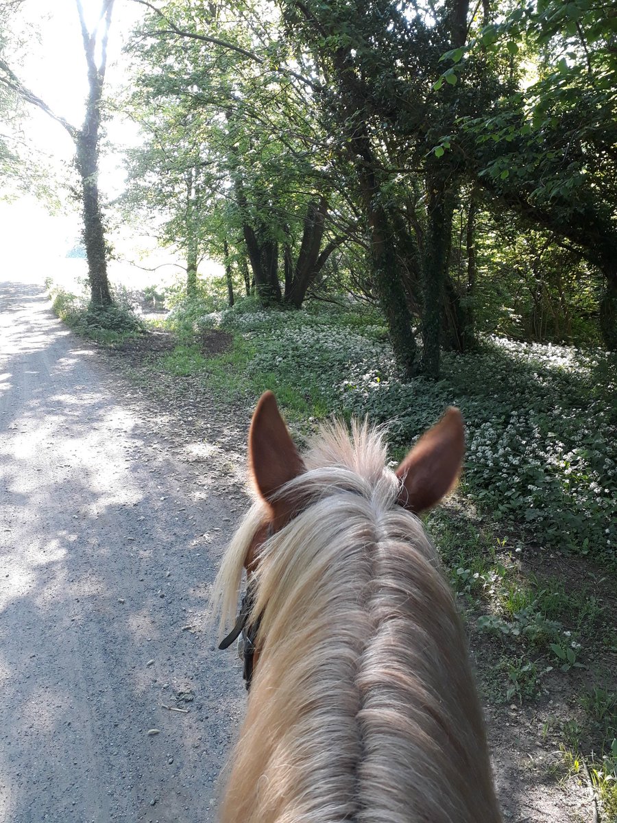 K_K1386's tweet image. Sun is out #hacktime