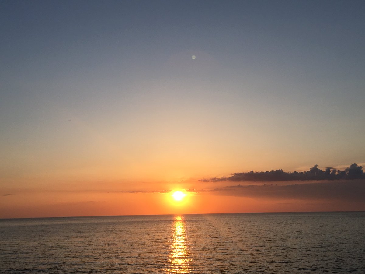 Monica de Cossio tweet media