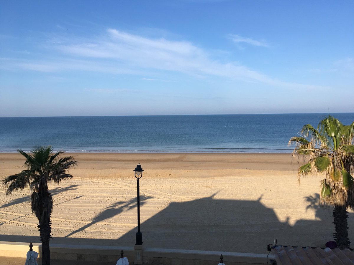 Monica de Cossio tweet media